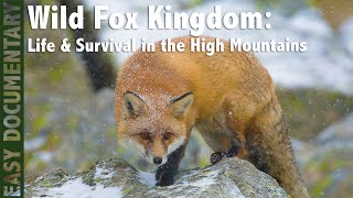 Wild Fox Kingdom: Life & Survival in the High Mountains - Full Wildlife Documentary