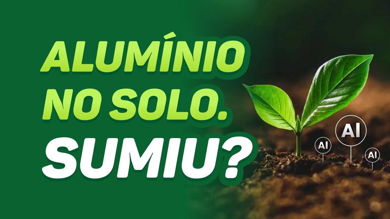 O QUE ACONTECE COM O ALUMÍNIO NO SOLO DEPOIS DA CALAGEM?