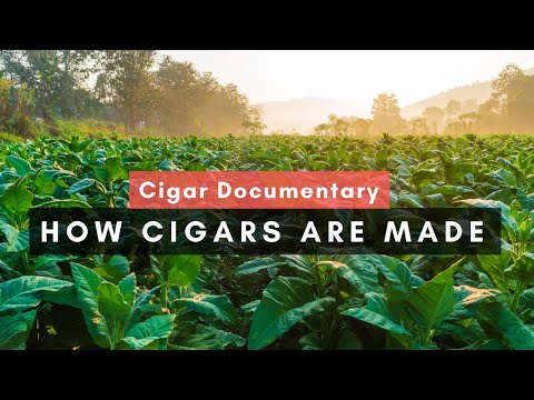 Cigar Documentary: How Cigars Are Made