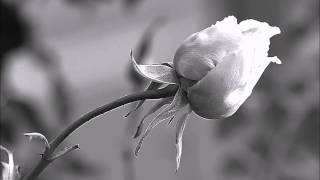 Black and White