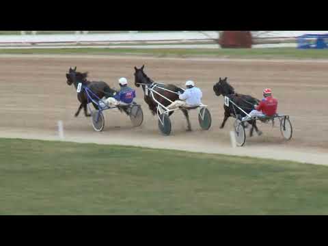 2018.03.31. 1. futam Ügető