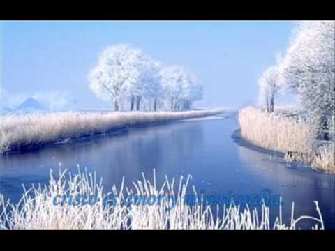 HERMANO MINGO TU HERES