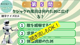 Quiz Try（クイズトライ）～毎日脳トレ～雑学知識を蓄えよう！014