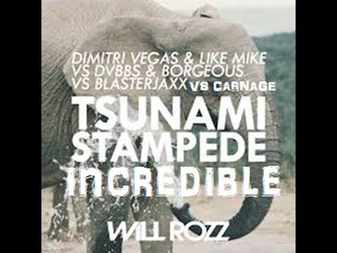 DVBBS & Borgeous vs Dimitri Vegas&Like Mike vs Carnage Tsunami/Stampede/Incredible (Mistery Tracks)