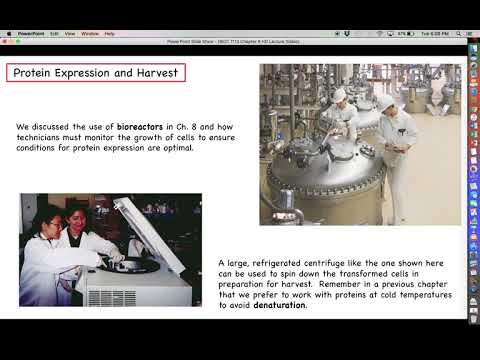 Intro to Biotechnology - Chapter 9 - Part 1 - Introduction to Biomanufacturing of Proteins