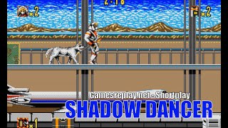 [Commodore Amiga] - SHADOW DANCER (Us Gold)