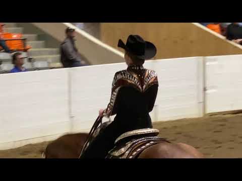 TATUM RICHEY RAIL WORK HORSEMANSHIP CONGRESS 2019