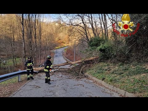 Föhn sorgt für Stürme und frühlingshafte Temperaturen
