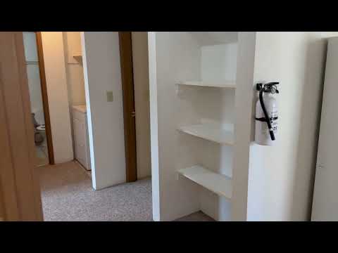 113 E. Prentiss - Video 2 of 2