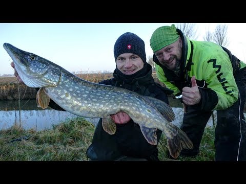 Matze Koch: Vadder und Sohn auf PB Jagd - Matzes Mätzchen 03-2018
