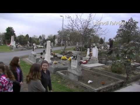 A Nagyszalontai Temetőben