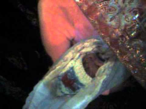 Ancuta  2010 02 08  33