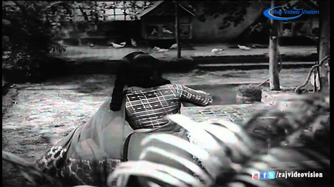 Paal Irukkum Pazham Irukkum Lyrics  | Paava Mannippu | Chittor V. Nagaiah, Devika, Gemini Ganesan, M. R. Radha, M. V. Rajamma, Savitri, Sivaji Ganesan, T. S. Balaiah | P.Susheela | M.S.Viswanathan