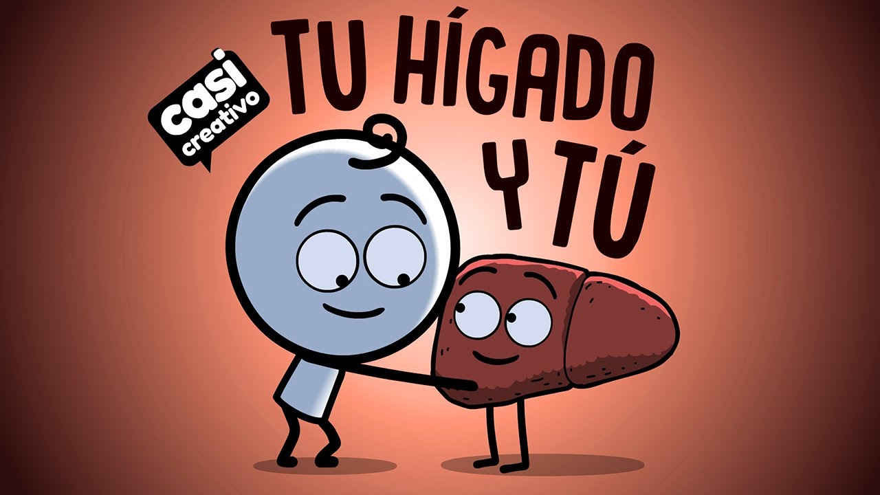 Tu hígado y tú | Casi Creativo