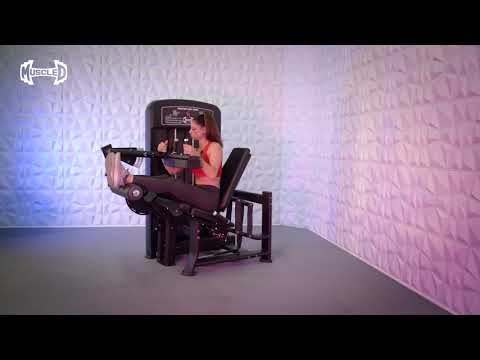 Muscle D Fitness Seated Leg Curl Intro