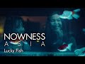 A Queer Coming Of Age Romance Set In A Chinese Restaurant Lucky Fish
