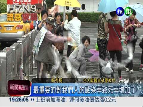 比SARS毒! H7N9潛伏期會傳染