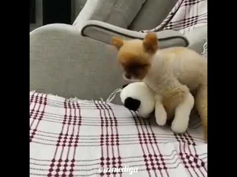 26 декабря 2018 г.