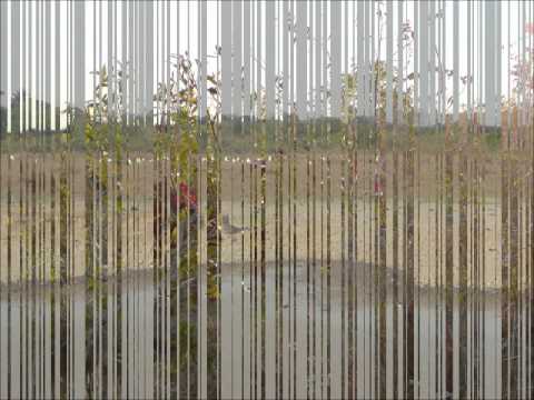 Vuelve Al Llano JORGE GUERRERO