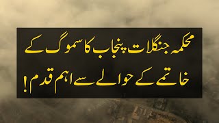 Punjab Forest Department’s New Step Towards Smog-Free Punjab | More Trees, Less Smog | FW&amp;F, Punjab