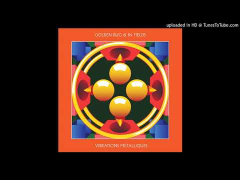 PREMIERE #732 | Golden Bug & In Fields - Bones feat. Diego Hdez [Höga Nord] 2019