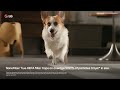 LG Product Show & Tell: PuriCare™ 360 with NanoFiber True HEPA Filter