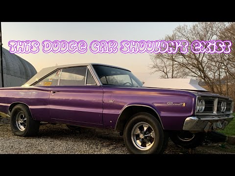 One of the Rarest Dodge cars to exist #mopar #dodge #mrnorm