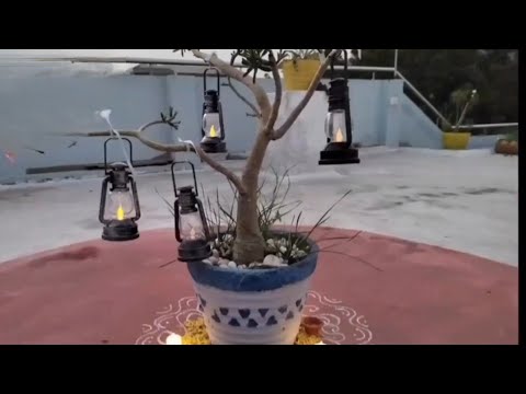 11 Simple & Stunning DIWALI decoration ideas 🪔🌺🙏