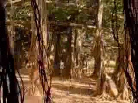 Quo Vadis ( Where are we heading )