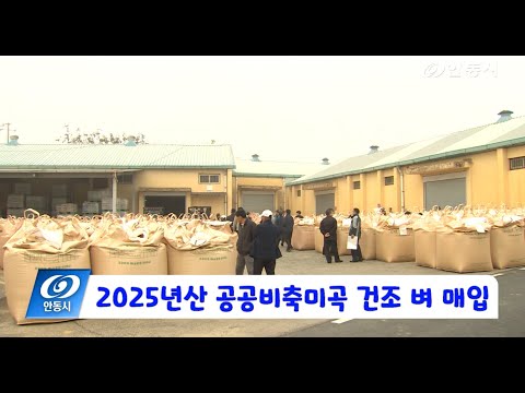 [안동 현장 리포트] 11월 11일, 2025년산 공공비축미곡 건조 벼 매입