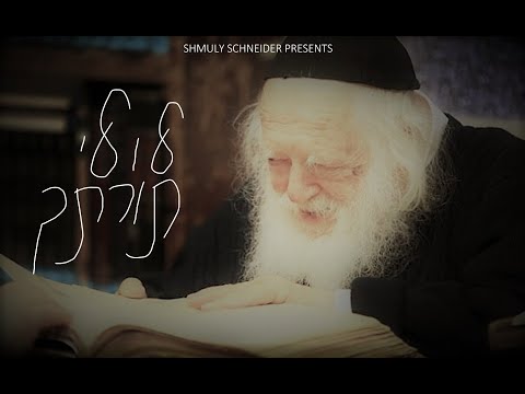 Shmuly Schneider - Lulei Sorascha - R' Chaim Kanievsky zt’l  |  שמולי שניידער - לולי תורתך