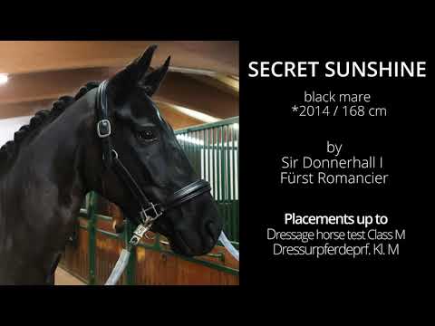 Secret Sunshine - Dezember 2020