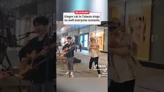 Download lagu Busking cat gives the perfect meow mp3 Download lagu Busking cat gives the perfect meow mp3