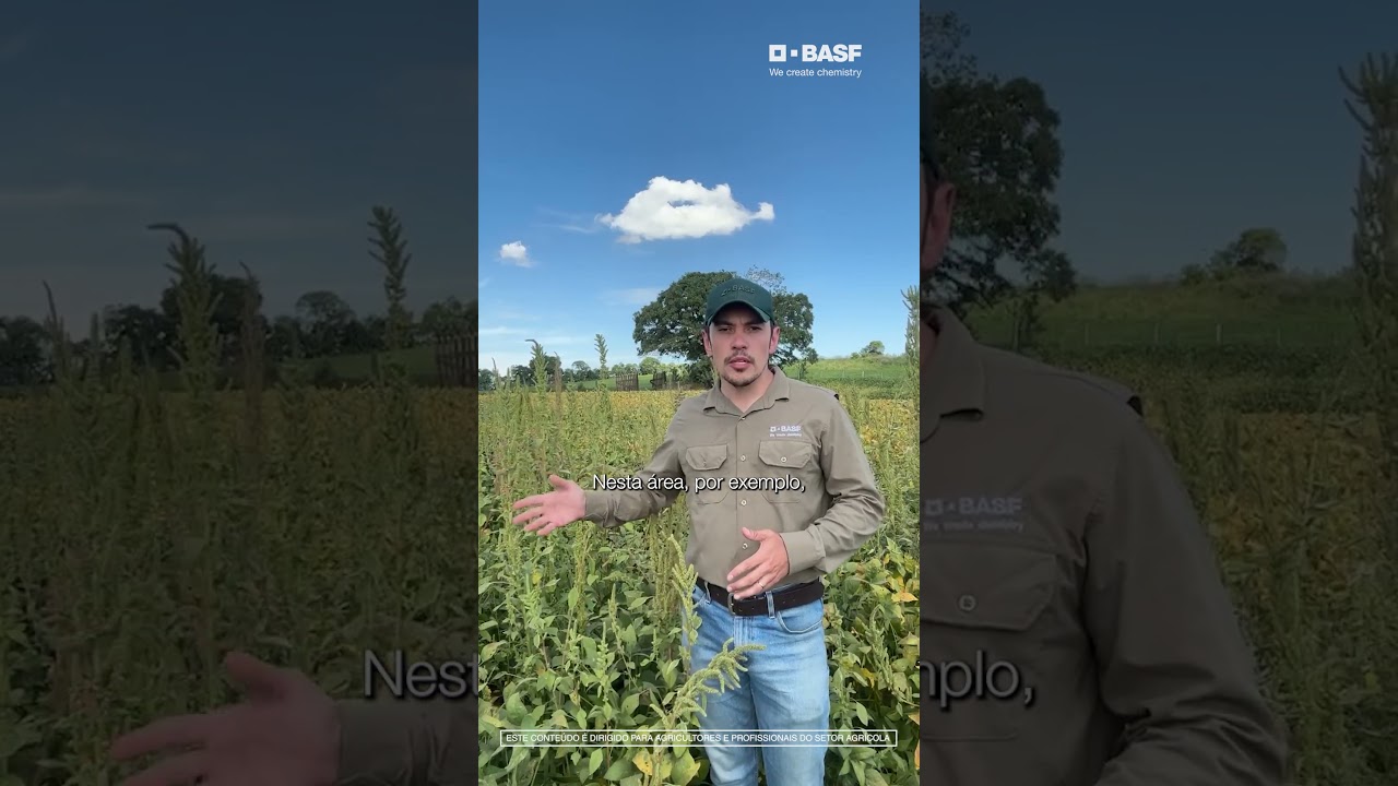 Manejo de plantas daninhas não é apagar incêndio!  É estratégia desde o início com Heat® da BASF