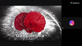 صباح السفراء 9-9-2025