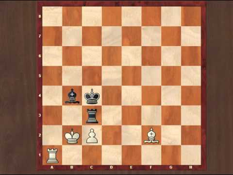 A Short Study Competition with 3 Studies of Kubbel's