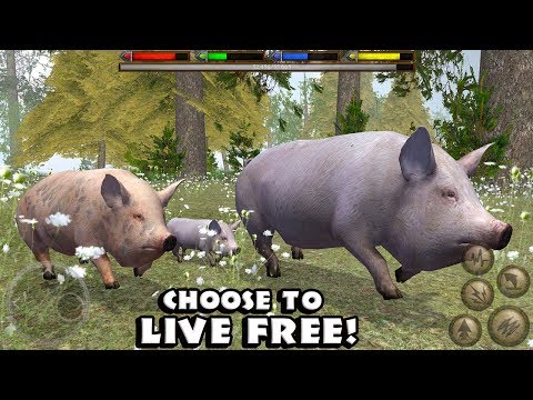 Ultimate Farm Simulator (by Gluten Free Games) Android Gameplay [HD] - YouTube