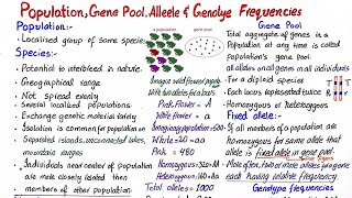 gene pool allele and genotype frequencies class 12