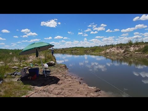 ARROYO POLANCO DEL YI PESCA TREMENDA ANGUILA Y TARARIRAS ( ep 123 )