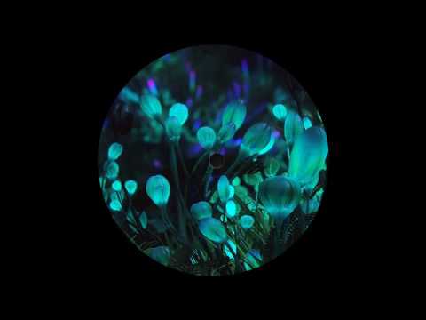 Akasha System - Mineral Jam