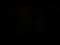Penis