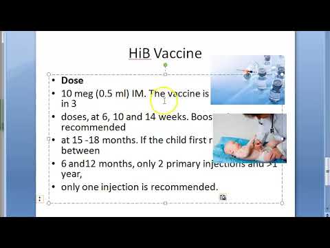 Pediatrics HiB Vaccine Hemophillus influenzae B bacteria schedule safety