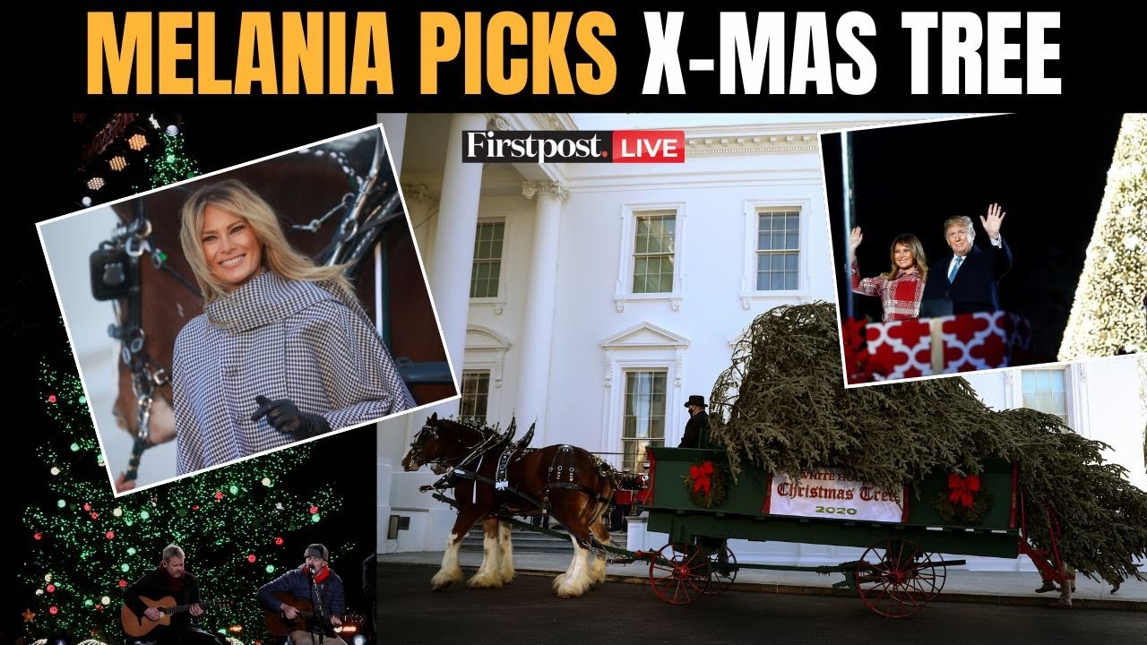 White House X-Mas LIVE: Melania Trump Welcomes White House Christmas Tree | Melania Christmas Tree