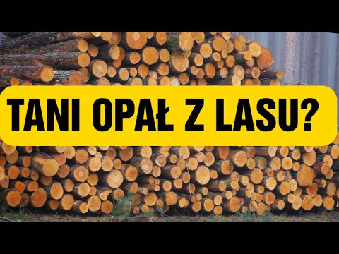 Ile kosztuje drewno opałowe w lesie? || Tani opał z lasu || Okiem ZULa