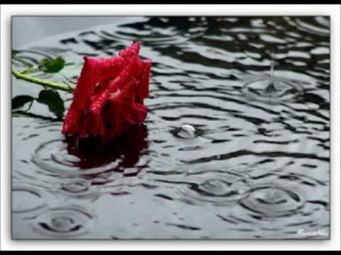 Chuva video
