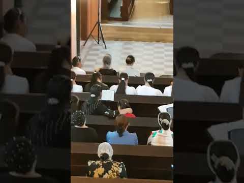 fratele ovidiu despre firea pamanteasca