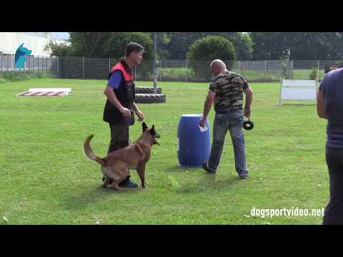 1. DMV Championat - Christian Stewien - M'Torky van het Retrohof