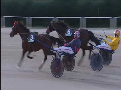 Trotto 30/11/2018 - 1ª corsa