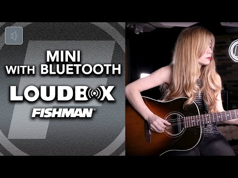 Fishman Loudbox Mini Bluetooth Acoustic Amplifier image 6