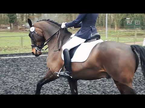 Dino AM 96 Pachesham- 1st with 70.26%